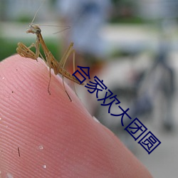 金年会 | 诚信至上金字招牌
