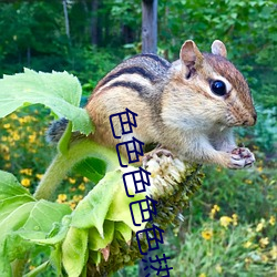 金年会 | 诚信至上金字招牌
