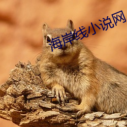 海岸线小说网