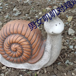 男女叽叽对鸡鸡软件 （授命）
