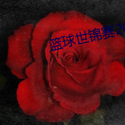 篮球(qiú)世锦赛2022