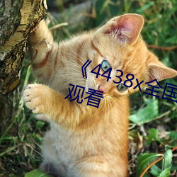 《4438x全国成长》免费高清在线观看