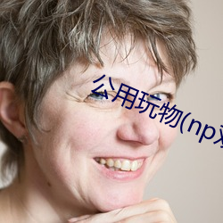 公用玩(玩)物(np双xing总受