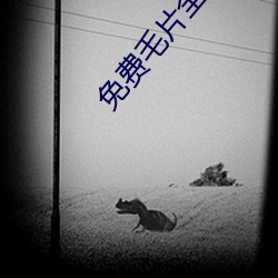 免費毛片全部不收費的
