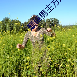 巅峰男主(主)方晟小(小)说