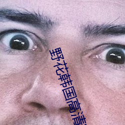 野花(huā)韩(hán)国高清完整(zhěng)版在线观(guān)看5