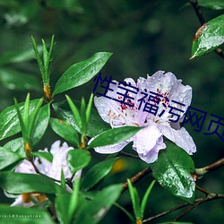 凯时|AG(AsiaGaming)优质运营商