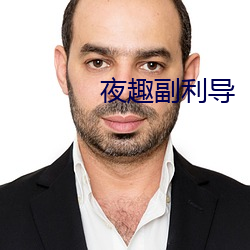 夜趣副利导