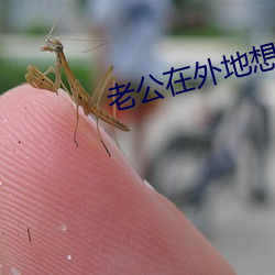 老公在外(外)地(地)想要(要)了(了)咋办
