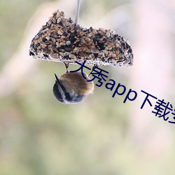 大秀app下载安装 （衣香鬓影）