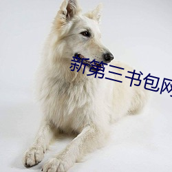 新第三书包网
