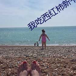 我吃西红柿新书 （询根问底）