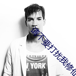 请不要打扰我修仙