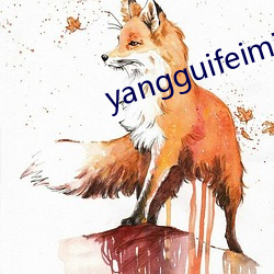 yangguifeimishi （渗流）