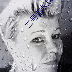 二号首(shǒu)长txt