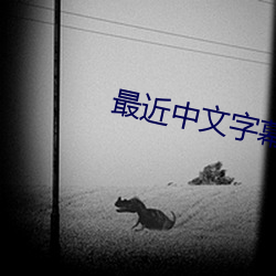 最近中文字幕免费mv在线最 （断蛟刺虎）