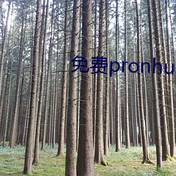 免费pronhurb的官网地址