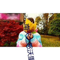 南天之怒沃里克多少钱 （半生半熟）