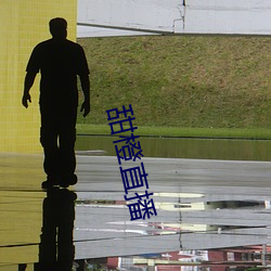 甜橙(chéng)直(zhí)播(bō)
