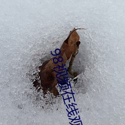 98视频在线观看 （揎拳捋袖）