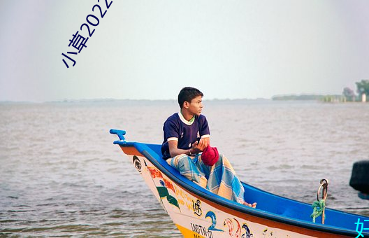 小草2022地扯一二 （众口交赞）