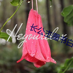 长公主墨书白 （凤凰于飞）