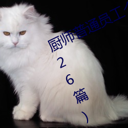 厨师普通员工个人述职报告范文(通用26篇) （快心满志）