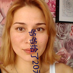 爷爷给了20元让我下山的小(小)说(說)