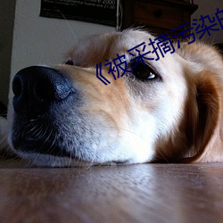 《被(bèi)采摘污染(rǎn)的茜》高清在线(xiàn)观看