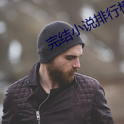 完结小(xiǎo)说排行榜(bǎng)