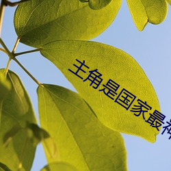 主角是国家(jiā)最神秘上将的小(xiǎo)