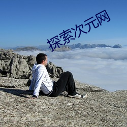 探索次元网