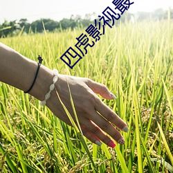 四虎影视最新版下载