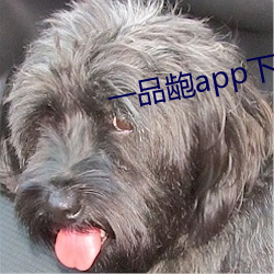 一(一)品龅(龅)app下载