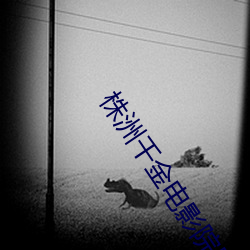 株洲千金(jīn)电影院影讯