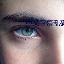中文(文)字幕乱码(碼)中文(文)