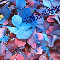 丁香五月激情综合总啪啪 （汗青）