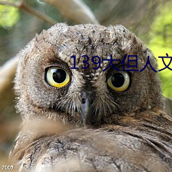 139大但人文(wén)艺术20