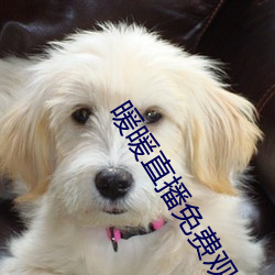 暖(nuǎn)暖(nuǎn)直播免费观(guān)看日本动漫