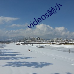 videos呦小