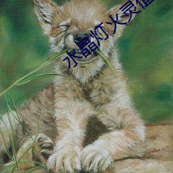 水晶灯火灵值得(dé)培(péi)养吗