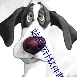站长统计软件草莓 （赏信罚明）
