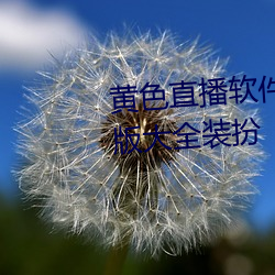 黄色直播软件下载3.0.3免费vivo版大全装扮 （究根儿）