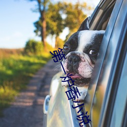第一炉(爐)香小(小)说(說)