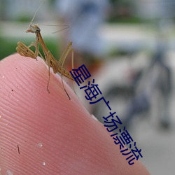 星海广场(場)漂流(流)