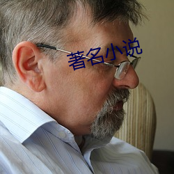 著名小(xiǎo)说(shuō)