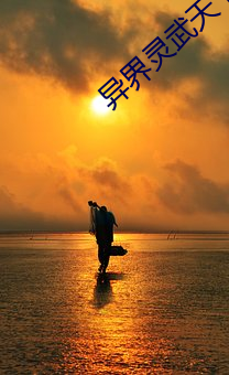 异界灵武天下