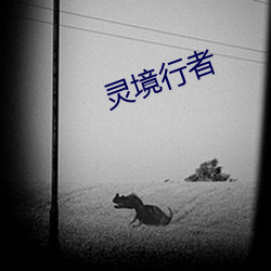 靈境行者