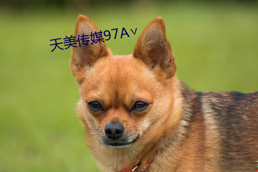 尊龙凯时-人生就是搏!