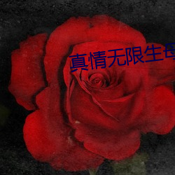 真情无(wú)限生母养母电视剧(jù)